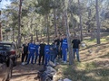 Καθαρισμός Δασών 3
