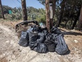 Καθαρισμός Δασών 5