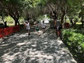στιγμιότυπο