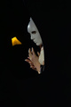 f2