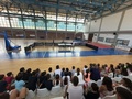 dt6